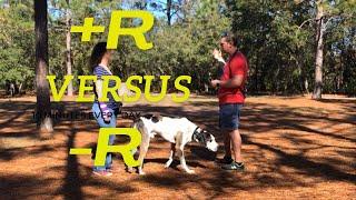 Positive Reinforcement vs. Negative Reinforcement | Dog Training