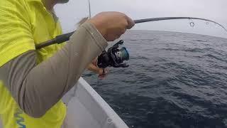 [NEW ARRIVAL] Ronin Fishing Reel Action | SEAHAWK