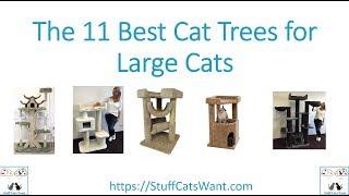 The 11 Best Cat Trees for Large Cats 2019