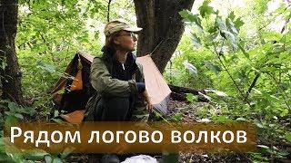 #1 Полуодиночный поход с полуночёвкой | Логово волков