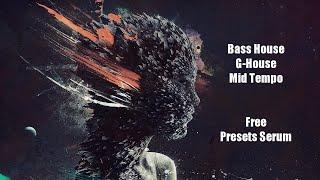 Free Serum Presets 2019 | Bass House, G-House, Mid Tempo