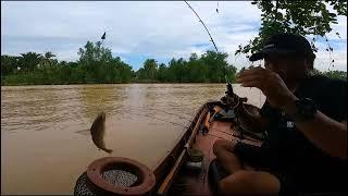 TRIP 214 This is it if you are desperate for fishing LATEST GALAH SHRIMP FISHING 2024