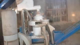 pellet machine with conveyor system