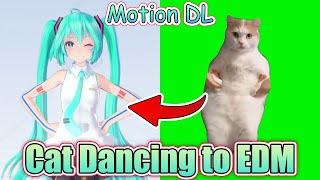 【MMD/Meme】Cat Dancing to EDM (Motion DL)