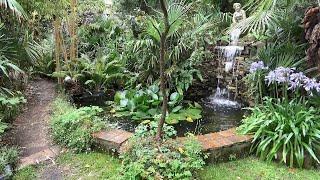 5 Essential Tips to Create a Cold Hardy Tropical Garden