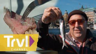 Putrefied Herring & Smoked Roe in Stockholm | Bizarre Foods With Andrew Zimmern | Travel Channel