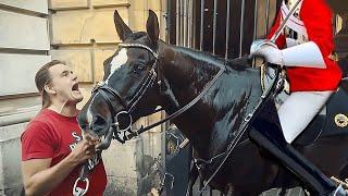 When Royal Guards' Horses Bite Disrespectful Tourists