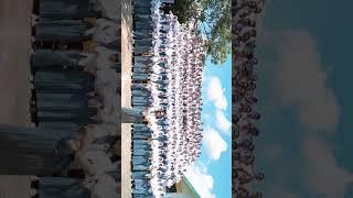 Video Perpisahan Sekolah SMA / SMK (2) #2023 #tranding #lastceremony #kelas3