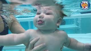 Hailey teaches "Eyes In" submersion to a Watersafe Swim-Babe