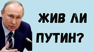 Жив ли Путин? | Анна Ефремова таро прогноз 2023 год