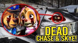 IF YOU SEE DEAD CHASE & SKYE FROM PAW PATROL, RUN!! (ON CAMERA)