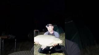 Велика риба вночі. 2.12 #fishing #риболов #carpfishing #carp #риболовля