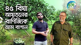 ৪৫ বিঘা আয়তনের বাণিজ্যিক আম বাগান | কৃষি দিবানিশি | Shykh Seraj | BTV |