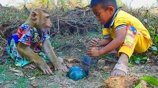 SokYaa Help Friend Push Out Watermelon, Catching Watermelon Underground