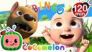 Bingo's Fun Farm Song! | CoComelon | Animals for Kids | Sing Along | Learn about Animals