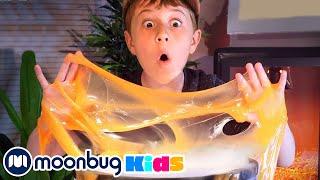 GIANT Golden Dragon Egg | BEST OF @TRexRanch | Moonbug Kids Explore With Me!