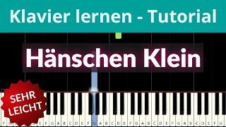 Hänschen Klein | Klavier lernen leichte deutsche Kinderlieder Piano Tutorial  Felicitas Falke 