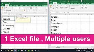 Make 1 Excel file allow Multiple Users at the same time | NETVN
