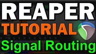 Reaper DAW Tutorial (Part 3) – Track Setup and Signal Routing