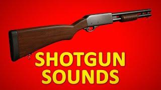 SHOTGUN Sounds For One Hour