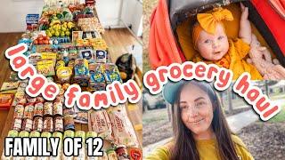 LARGE FAMILY GROCERY HAUL | Mom of 10 w/ Twins + Triplets