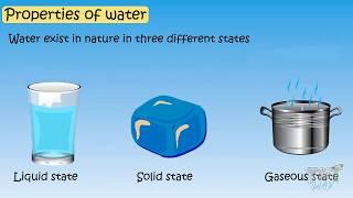 Properties of Water For Kids | Science | Tutway