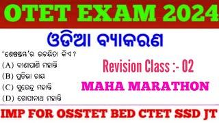 Target OTET Exam 2024 !! Odia Grammar MCQs !! 175 Odia MCQs !! OSSTET SSD JT TGT LTR RHT RI Exam !!