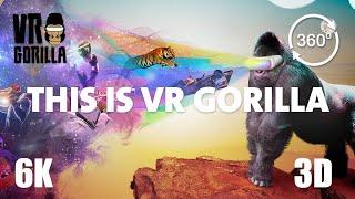 This is VR Gorilla - Best Of VR & 360 Compilation 2015/2020 - 6K 360 3D Video