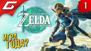 ЛУЧШАЯ ЗЕЛЬДА  The Legend of Zelda: Tears of the Kingdom ◉ Прохождение 1