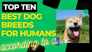 Top 10 Best Dog Breeds For Humans According to A.I.