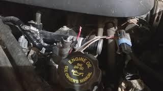 Mice chewing up Vehicle wiring?