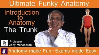 Introduction to Anatomy - The Trunk.  Anatomy made Fun, Exams made Easy!