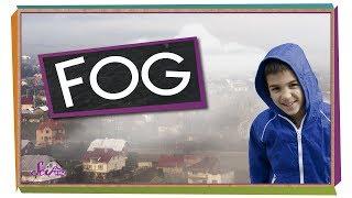 Where Does Fog Come From? | Weather Science | SciShow Kids