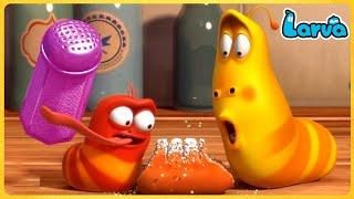 Larva Full  Episode | 1 Hour Compilation  Cartoons - Comedy - Comics  New Animation Movies 2022
