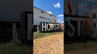 WE ️ HOUSTON! Find Wolfie in this video?? #shorts #asmr #viral