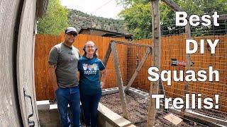 DIY Squash Trellis