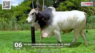 LOTE 06  - VJL 3042