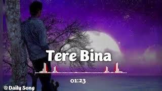 Tere Bina , New Song |Daily Song| Official Video #song #music