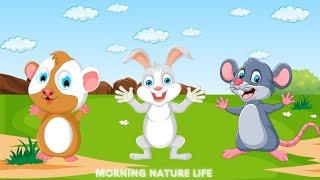 Explore animals: hamster, rabbit, bandicoot, rat - Animal moments