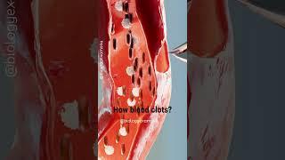 How Blood Clots? Animation #biology