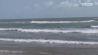 At least 4 shark attacks reported on South Padre Island during July Fourth celebrations
