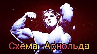 Схема тренировок Арнольда Шварценеггера.Канал - "Персональный тренер Тюмень" фитнес-тренинг в Тюмени