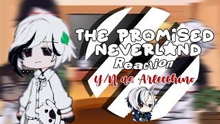 The Promised Neverland react to Y/N as Arlecchino | GachaClub | (Read Description!!)