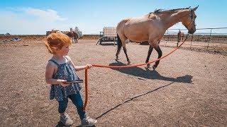 Adley RIDES SPIRIT the Horse!