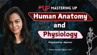 Understanding Human Anatomy & Physiology  | #1