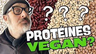 JDV 2024 - S.05 | Proteins and veganism? Let's take a look!