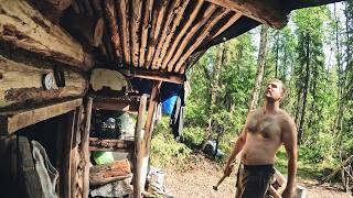 Living off-grid in an old log cabin in the woods