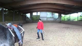 Breaking A Horse The Proper Way With Alvin R Boudy Jr ( part three)