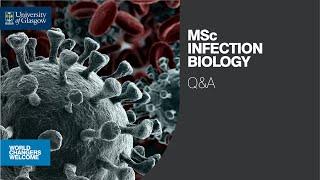 MSc Infection Biology Q&A - University of Glasgow