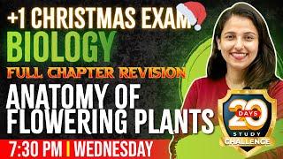 Plus One Biology Christmas Exam | Anatomy of Flowering Plants | Full Chapter/Chapter 6 | Exam Winner